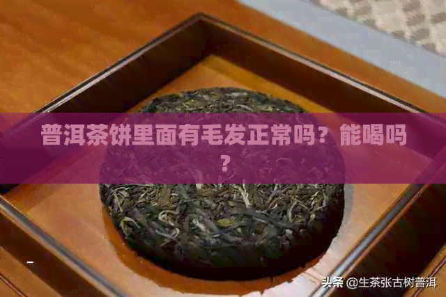 普洱茶饼里面有毛发正常吗？能喝吗？