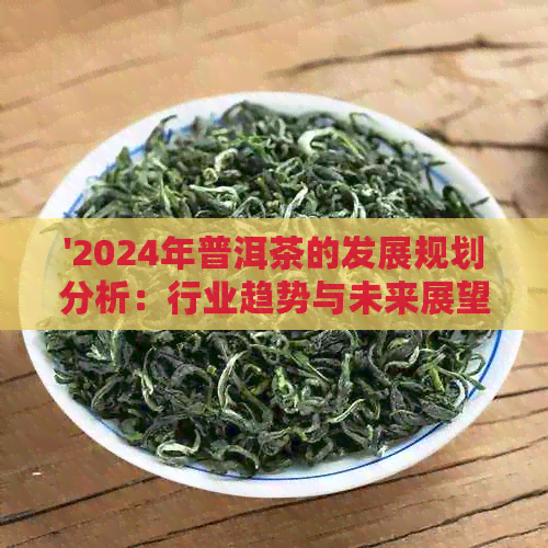 '2024年普洱茶的发展规划分析：行业趋势与未来展望'