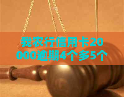 我农行信用卡20000逾期4个多5个月了会怎么样