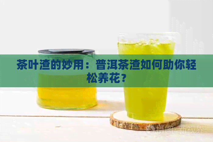 茶叶渣的妙用：普洱茶渣如何助你轻松养花？