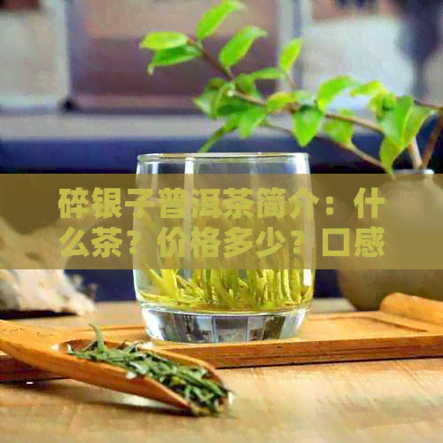 碎银子普洱茶简介：什么茶？价格多少？口感如何？