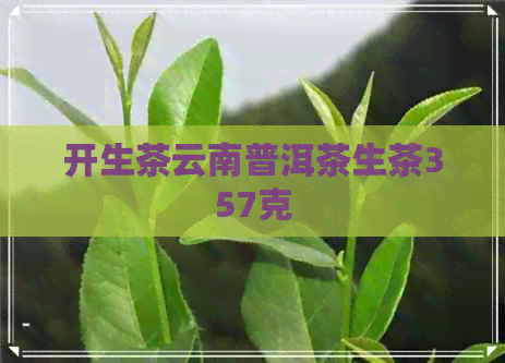 开生茶云南普洱茶生茶357克