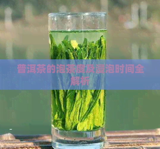 普洱茶的泡茶度及浸泡时间全解析