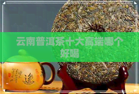 云南普洱茶十大高端哪个好喝