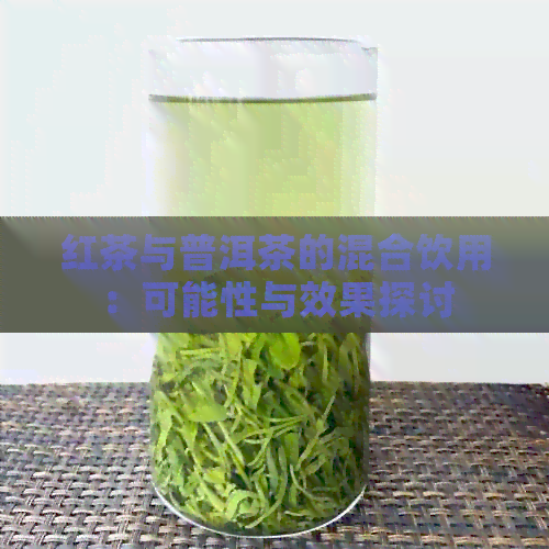 红茶与普洱茶的混合饮用：可能性与效果探讨