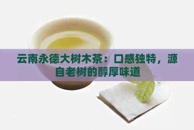 云南永德大树木茶：口感独特，源自老树的醇厚味道