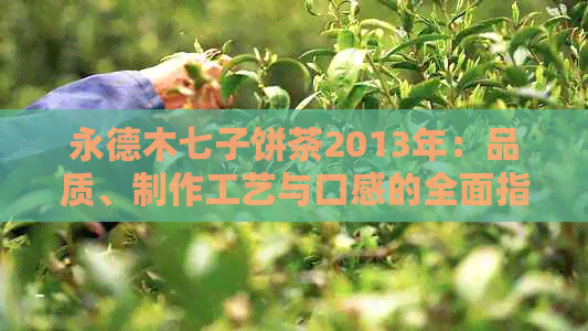 永德木七子饼茶2013年：品质、制作工艺与口感的全面指南