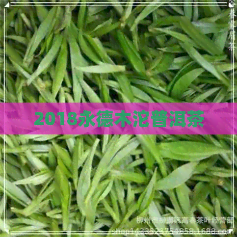 2018永德木沱普洱茶