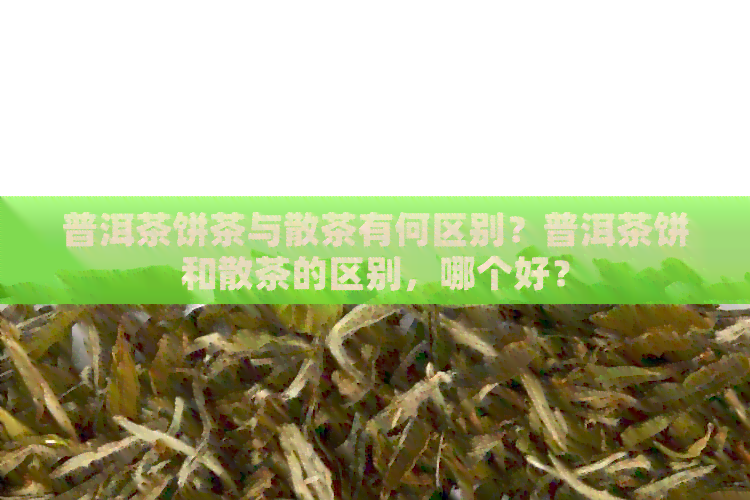 普洱茶饼茶与散茶有何区别？普洱茶饼和散茶的区别，哪个好？