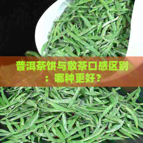 普洱茶饼与散茶口感区别：哪种更好？