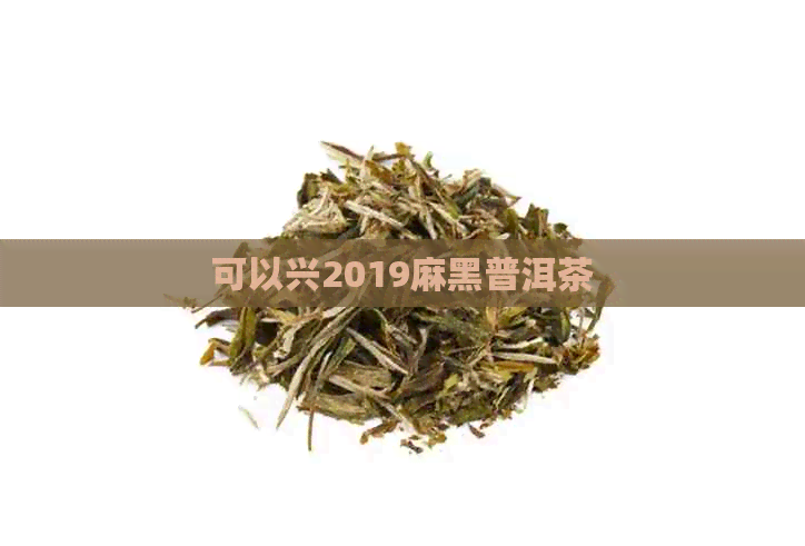 可以兴2019麻黑普洱茶