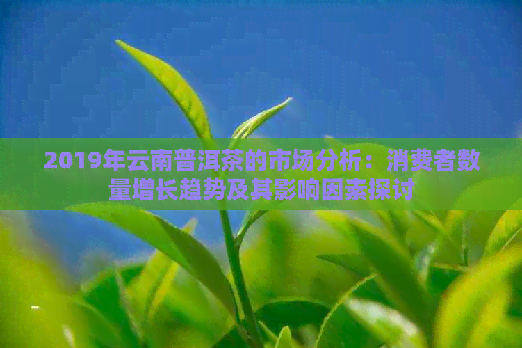 2019年云南普洱茶的市场分析：消费者数量增长趋势及其影响因素探讨