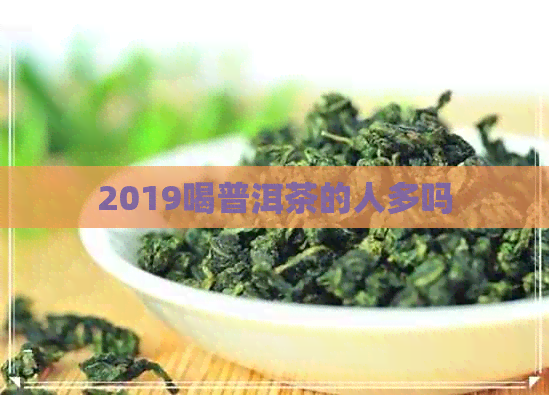 2019喝普洱茶的人多吗