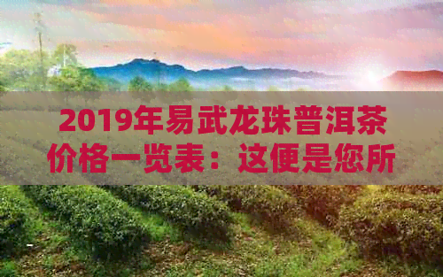 2019年易武龙珠普洱茶价格一览表：这便是您所求