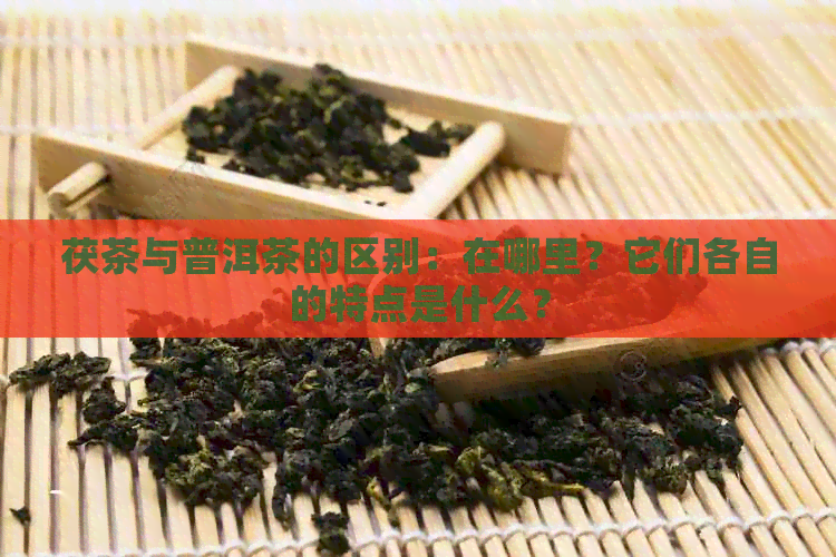 茯茶与普洱茶的区别：在哪里？它们各自的特点是什么？