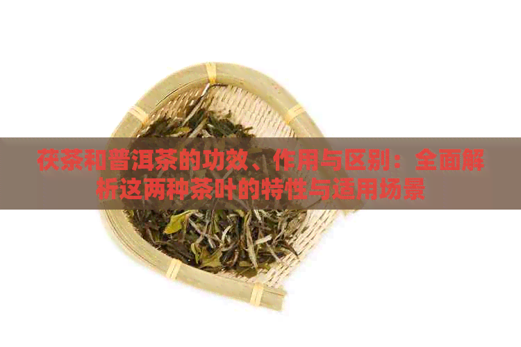 茯茶和普洱茶的功效、作用与区别：全面解析这两种茶叶的特性与适用场景