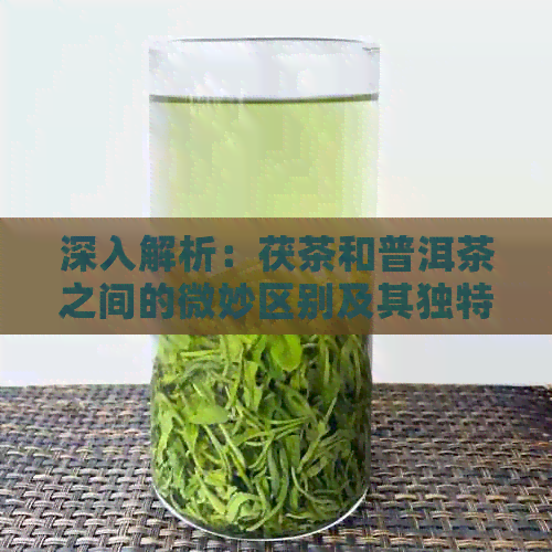 深入解析：茯茶和普洱茶之间的微妙区别及其独特的品饮体验