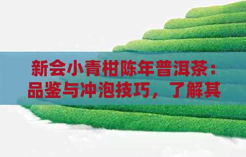 新会小青柑陈年普洱茶：品鉴与冲泡技巧，了解其历、功效与适合搭配美食