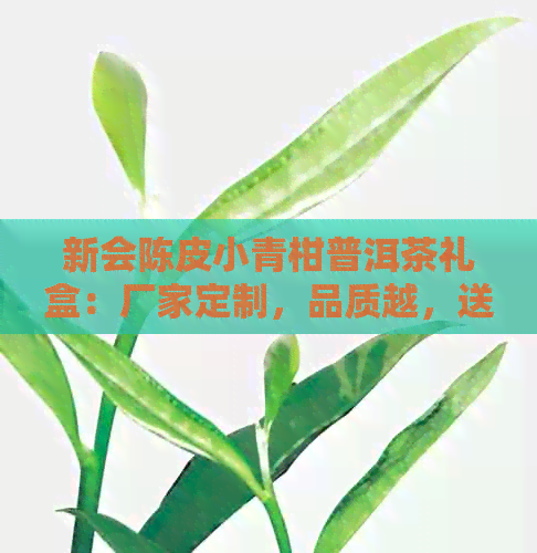 新会陈皮小青柑普洱茶礼盒：厂家定制，品质越，送礼佳品