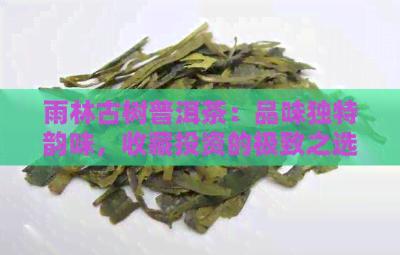 雨林古树普洱茶：品味独特韵味，收藏投资的极致之选