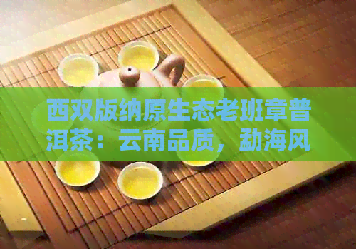 西双版纳原生态老班章普洱茶：云南品质，勐海风情，茶品鉴与批发优