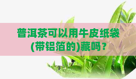 普洱茶可以用牛皮纸袋(带铝箔的)藏吗？