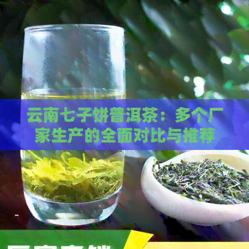 云南七子饼普洱茶：多个厂家生产的全面对比与推荐