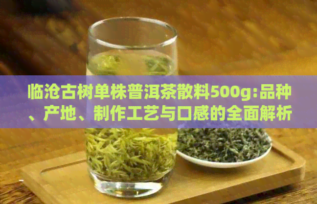 临沧古树单株普洱茶散料500g:品种、产地、制作工艺与口感的全面解析