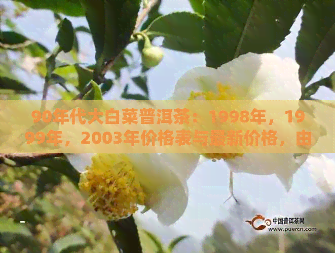 90年代大白菜普洱茶：1998年，1999年，2003年价格表与最新价格，由来揭秘