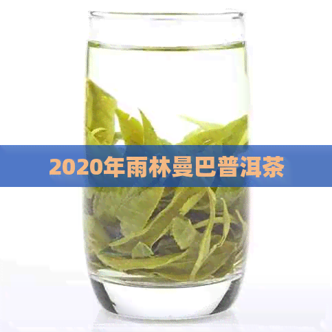 2020年雨林曼巴普洱茶