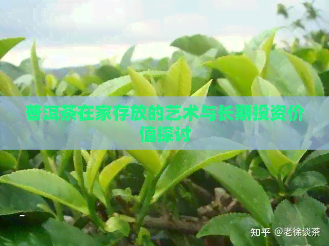 普洱茶在家存放的艺术与长期投资价值探讨