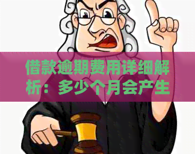 借款逾期费用详细解析：多少个月会产生高额罚款？