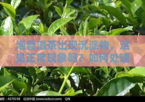 泡普洱茶出现沉淀物，这是正常现象吗？如何处理？