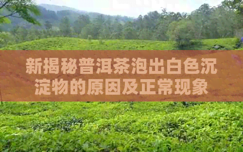 新揭秘普洱茶泡出白色沉淀物的原因及正常现象