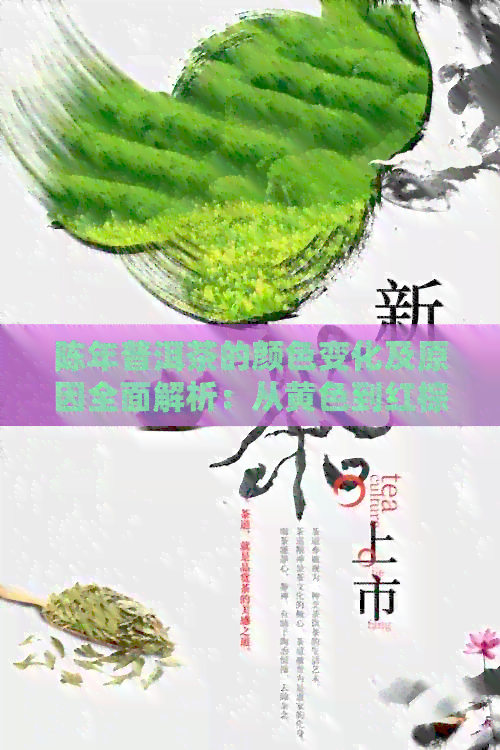 陈年普洱茶的颜色变化及原因全面解析：从黄色到红棕色，你了解吗？