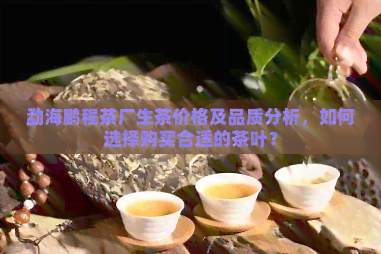 勐海鹏程茶厂生茶价格及品质分析，如何选择购买合适的茶叶？