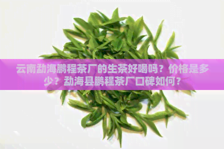 云南勐海鹏程茶厂的生茶好喝吗？价格是多少？勐海县鹏程茶厂口碑如何？