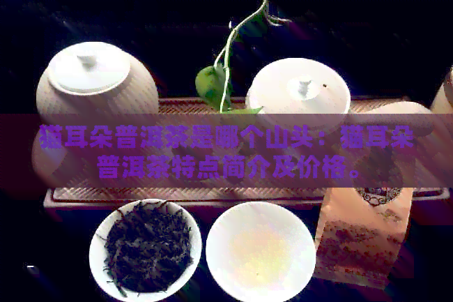 猫耳朵普洱茶是哪个山头：猫耳朵普洱茶特点简介及价格。