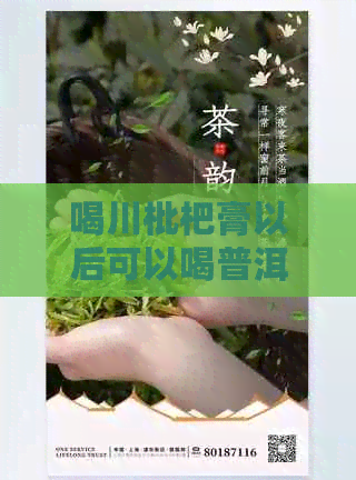 喝川枇杷膏以后可以喝普洱茶吗女生？喝了川枇杷膏可以喝牛奶吗？