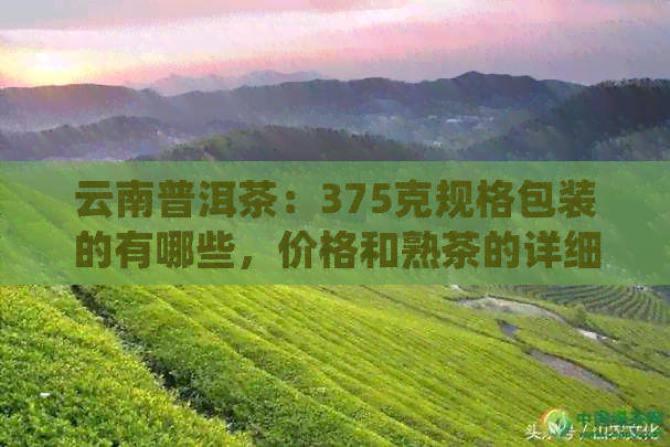 云南普洱茶：375克规格包装的有哪些，价格和熟茶的详细介绍