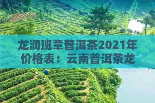 龙润班章普洱茶2021年价格表：云南普洱茶龙润，普洱茶龙润茶价格表2012年