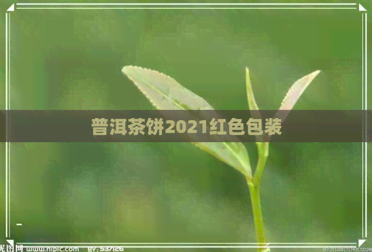 普洱茶饼2021红色包装