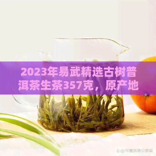 2023年易武精选古树普洱茶生茶357克，原产地直供，品质上乘，批发价格优