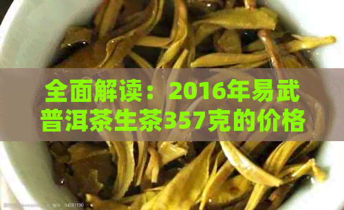 全面解读：2016年易武普洱茶生茶357克的价格、特点与品饮方法