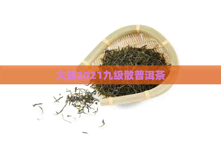 大益2021九级散普洱茶