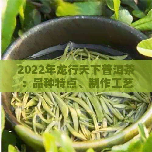 2022年龙行天下普洱茶：品种特点、制作工艺、品饮技巧与收藏价值全面解析