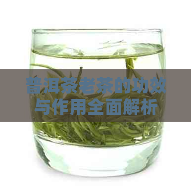 普洱茶老茶的功效与作用全面解析