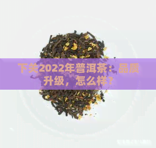 下关2022年普洱茶：品质升级，怎么样？