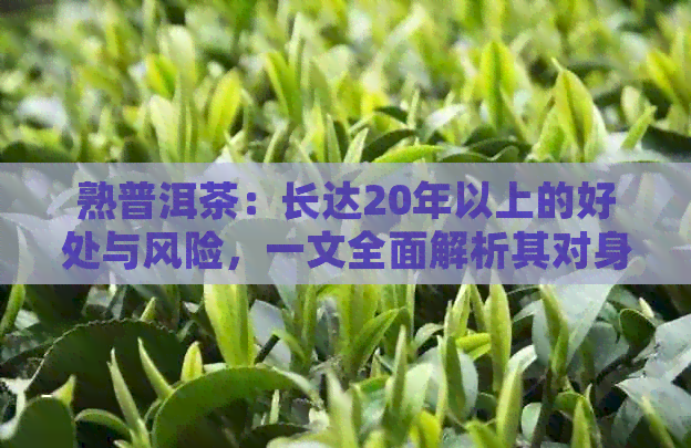 熟普洱茶：长达20年以上的好处与风险，一文全面解析其对身体的影响