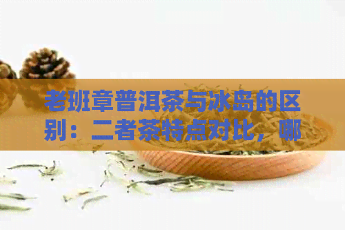 老班章普洱茶与冰岛的区别：二者茶特点对比，哪个更胜一筹？